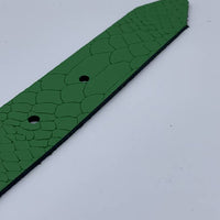 Trendy groene damesriem met slangenprint. 