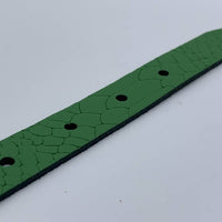 2cm brede damesriem met groene slangenprint 