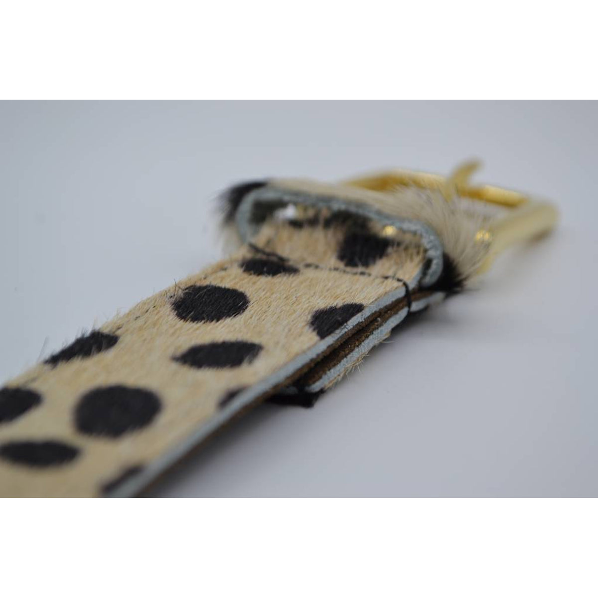 3cm brede panterprintriem met gouden gesp