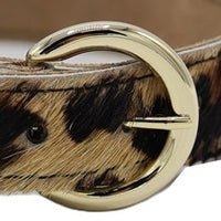 Panter print riem met gouden gesp. 