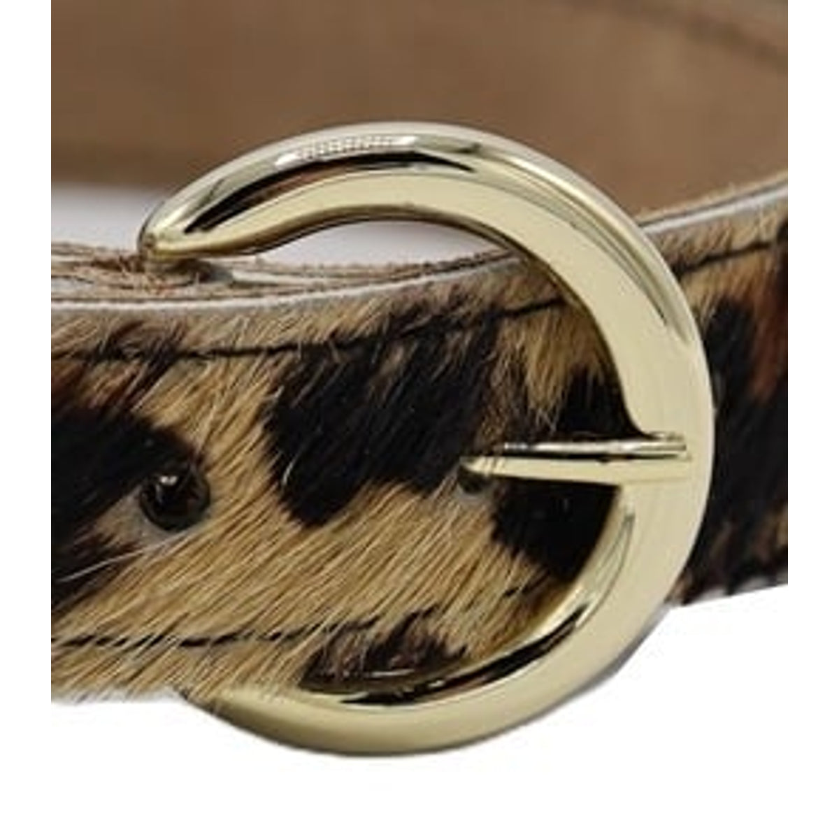 Panter print riem met gouden gesp. 