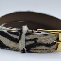 3cm brede zebraprintriem met gouden gesp